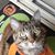 Karen Hietpas's profile image