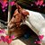 Cynthia Marquette-Bebout's profile image