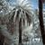 Patricia Hessler's profile image