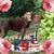 Vanessa L Santiago-Anderson's profile image