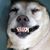Jan Noble Savage's profile image