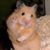 Michelle Service's profile image