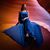 Sowmya Reddy's profile image