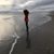 Carol Palm's profile image