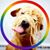 Laury Lybrand's profile image