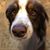 Elizabeth Greenwalt's profile image