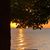Robin Lallement's profile image
