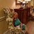 Judy Nolen Carter's profile image