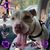 Cenia Blount's profile image