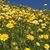 Mary Bressler Scotti's profile image