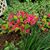 Christa Ermold's profile image