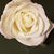 Joy Hickman's profile image