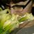 Melissa Stern's profile image