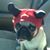 Christy McCord's profile image