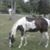 Tammy Hayslip's profile image