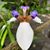 Andres Beltrami's profile image