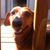 Debbie Newman's profile image