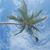 Ty Quaderer's profile image