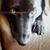 Trz Trzcinski's profile image