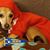 Teri 'Abrahamson' Darby's profile image