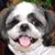 Dennis Fujii's profile image