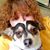 Sheree Gingell's profile image