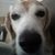 Mary Saelens's profile image