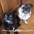 Debbie Ann Carr- Mccord's profile image