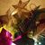 Stacie Kelly's profile image