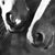 Marsha Hart's profile image