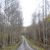 Beck Dahlman's profile image