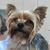 Kathy Vanover's profile image