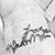 Beth Phillips Stone's profile image