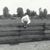 Terri Jo Adams's profile image