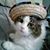 Martha Escobedo's profile image