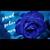 Jana Fields's profile image