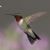 Marty McCune's profile image