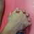 Nour Nour's profile image