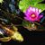 Terry Leppo's profile image
