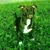 Abel Duarte's profile image