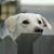 Lisa Thiemann's profile image