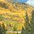 Catrena Quintal's profile image