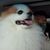 Chuckie Haahn's profile image