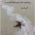Amy Grant Elkin's profile image