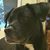 Stacy Marie's profile image