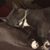 Tracey Lewis's profile image