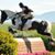 Victoria Campanella's profile image