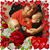 Bonnie Colvin's profile image