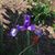 Timothy Frohlick's profile image
