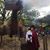 Amy Pirtle-Curtis's profile image